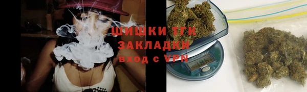 сатива Арсеньев
