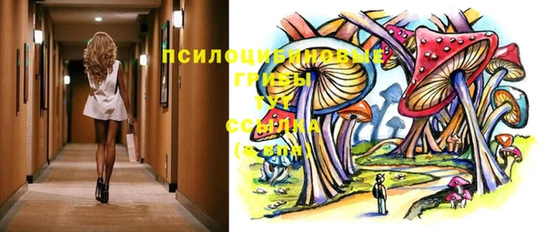 сатива Арсеньев