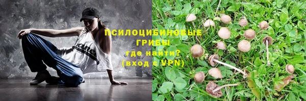 дурь Зеленодольск