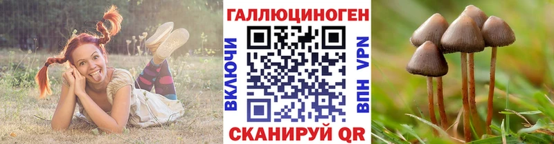 Галлюциногенные грибы GOLDEN TEACHER  hydra как зайти  Белокуриха 